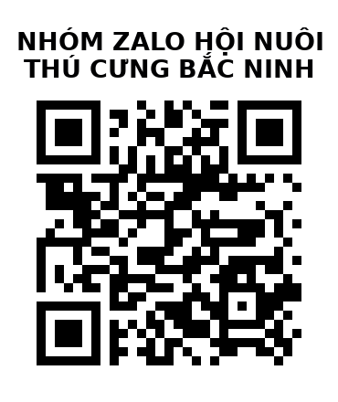 QR Code của URL hiện tại