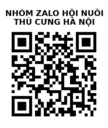 QR Code của URL hiện tại
