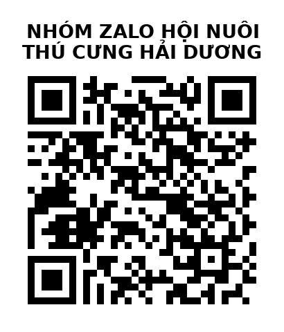 QR Code của URL hiện tại