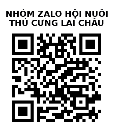 QR Code của URL hiện tại