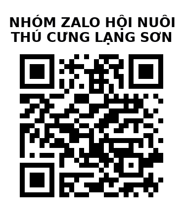 QR Code của URL hiện tại