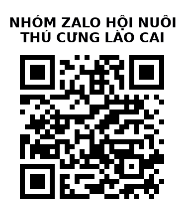 QR Code của URL hiện tại