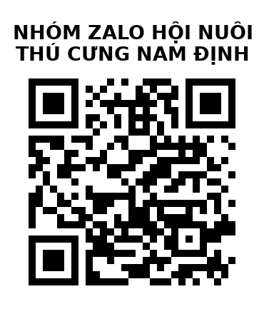 QR Code của URL hiện tại