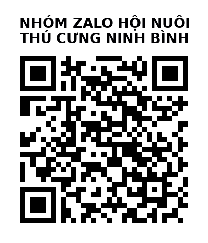 QR Code của URL hiện tại