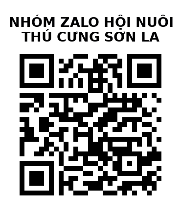 QR Code của URL hiện tại