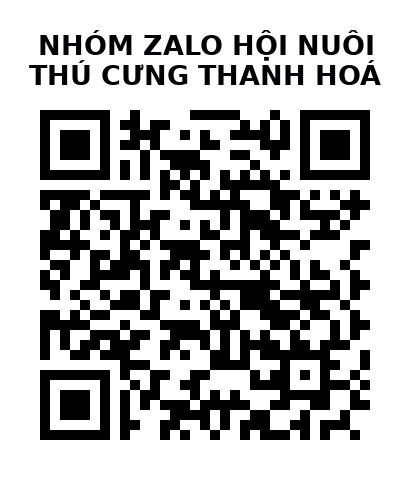 QR Code của URL hiện tại