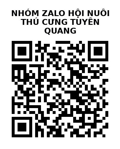 QR Code của URL hiện tại